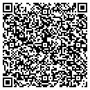 QR code with Pro Mold Solutions contacts