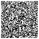 QR code with Professional Installers Inc contacts