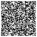 QR code with Custom Painter contacts