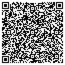 QR code with Prizm Lighting Inc contacts