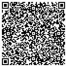 QR code with Professional Satelittes contacts