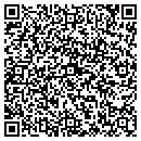 QR code with Caribbean Link Inc contacts