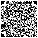 QR code with Pro Auto Service contacts
