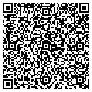 QR code with Premier Services contacts