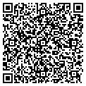 QR code with WSM Co contacts