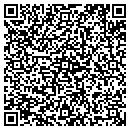 QR code with Premier Polymers contacts