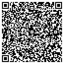 QR code with Premier Carpets Inc contacts