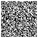 QR code with Central Window Sales contacts