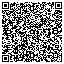 QR code with Blue Fin Inn contacts