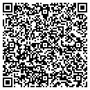 QR code with Colossus Painting contacts