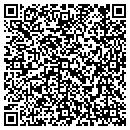 QR code with Cjk Consultants Inc contacts