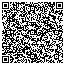 QR code with Carpet One Store contacts