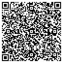 QR code with Pyramid Engineering contacts