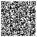 QR code with Dirt FX contacts
