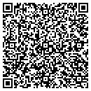 QR code with Professional Wholesale contacts