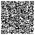QR code with Paseos contacts