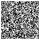 QR code with Public Concepts contacts