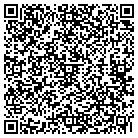 QR code with Publix Super Market contacts