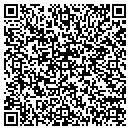 QR code with Pro Tele Inc contacts