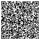 QR code with Professional Sales Tips contacts