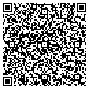 QR code with Put It In Writing Inc contacts