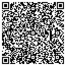QR code with Public Safety Products contacts