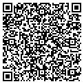 QR code with Tagged contacts