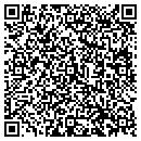 QR code with Professional Finish contacts