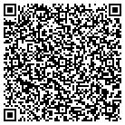 QR code with Pulaski County Assessor contacts