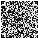 QR code with Premier Florida contacts