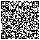 QR code with Punjab Shell contacts