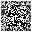 QR code with Carpet Fashions Inc contacts
