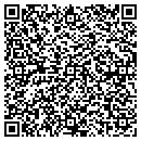 QR code with Blue Ribbon Painting contacts