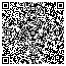 QR code with Professional Window contacts