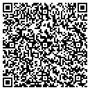 QR code with Public Works contacts