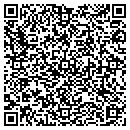 QR code with Professional Nails contacts
