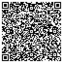 QR code with Public Advocate LLC contacts
