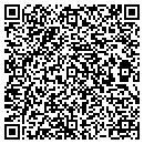 QR code with Carefree Pool Service contacts