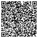 QR code with M G C contacts