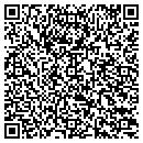 QR code with PROACT10.COM contacts