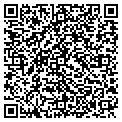 QR code with Holsum contacts