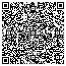 QR code with Cyclone Group Inc contacts