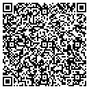 QR code with City Carpet Cleaners contacts