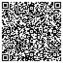 QR code with Pure Fusion Systems Inc contacts
