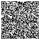 QR code with Chameleon Improvements contacts