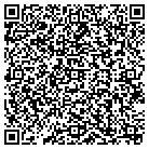 QR code with Professional Car Care contacts