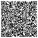 QR code with Blue Ribbon Appraisals contacts