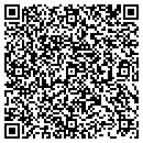 QR code with Princess Antique Mall contacts