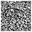 QR code with Protec America Inc contacts