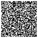 QR code with Chapman & Assoc Inc contacts